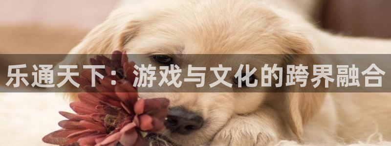 888贵宾会官网：乐通天下：游戏与文化的跨界融合