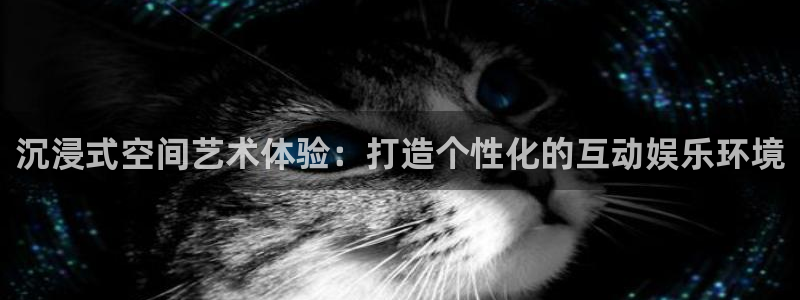 888贵宾会官网：沉浸式空间艺术体验：打造个性化的互动娱乐环境