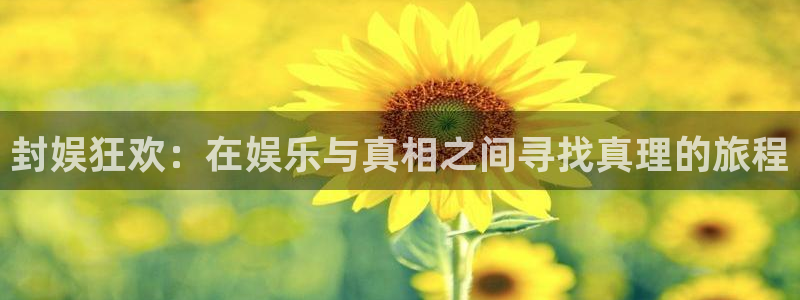 888贵宾会官网：封娱狂欢：在娱乐与真相之间寻找真理的旅程