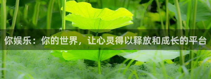 888贵宾会官网：你娱乐：你的世界，让心灵得以释放和成长的平台