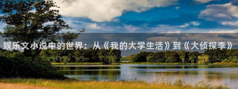 888贵宾会官网：娱乐文小说中的世界：从《我的大学生活》到《大侦探李》
