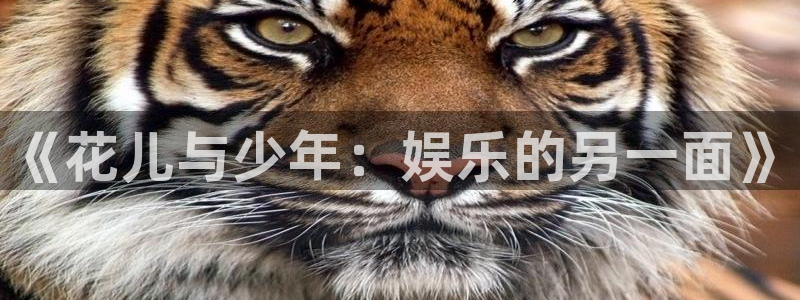 888贵宾会官网：《花儿与少年：娱乐的另一面》