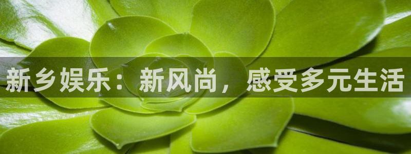 888贵宾会官网：新乡娱乐：新风尚，感受多元生活