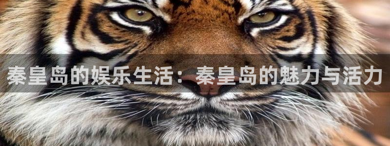 888贵宾会官网：秦皇岛的娱乐生活：秦皇岛的魅力与活力