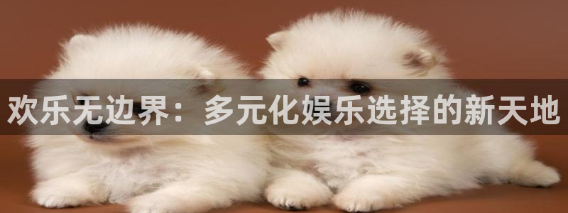 888贵宾会官网：欢乐无边界：多元化娱乐选择的新天地