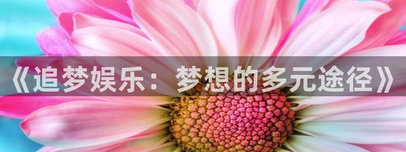 888贵宾会官网：《追梦娱乐：梦想的多元途径》