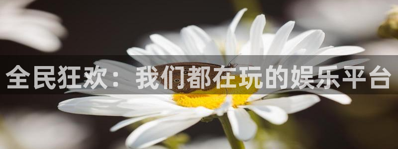 888贵宾会官网：全民狂欢：我们都在玩的娱乐平台