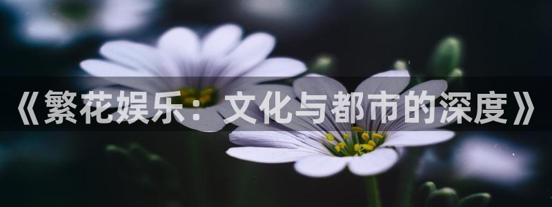 888贵宾会官网：《繁花娱乐：文化与都市的深度》