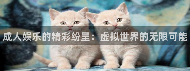 888贵宾会官网：成人娱乐的精彩纷呈：虚拟世界的无限可能