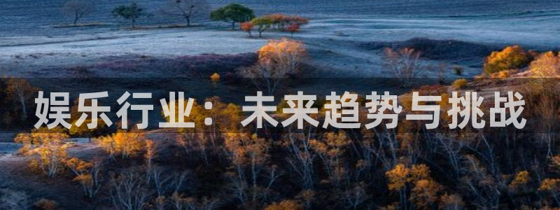 888贵宾会官网：娱乐行业：未来趋势与挑战